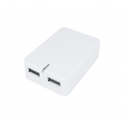 Dual USB home charger